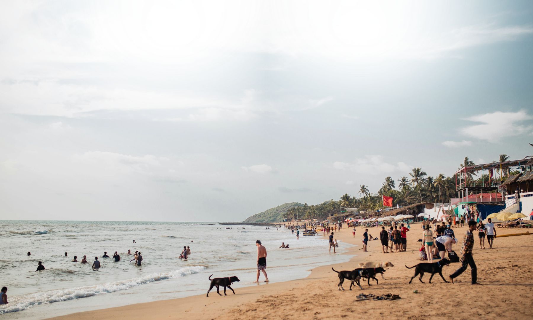 One Day in Goa as a Property Buyer