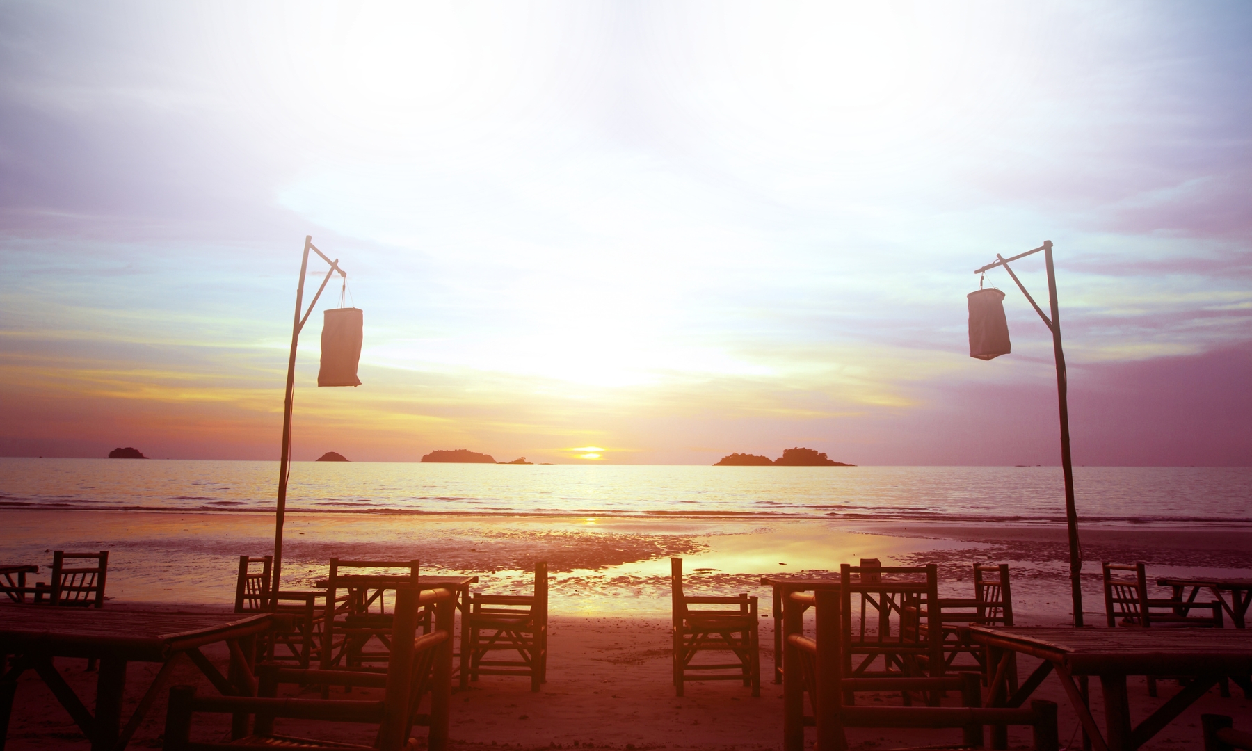 Goa sunset beach with palms
