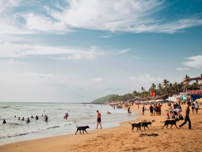 One Day in Goa as a Property Buyer