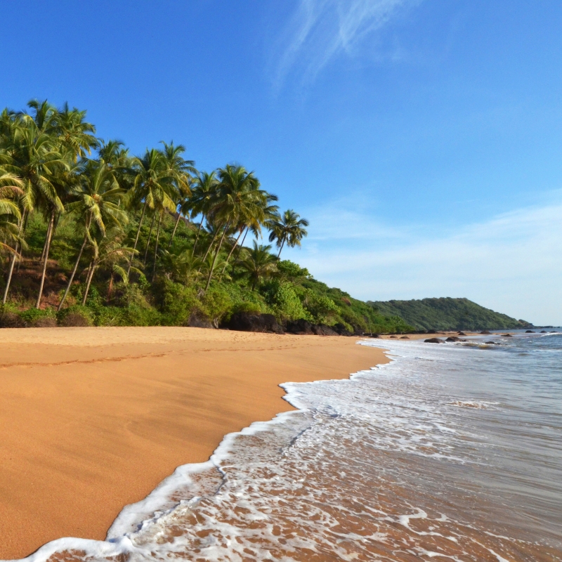 Goa