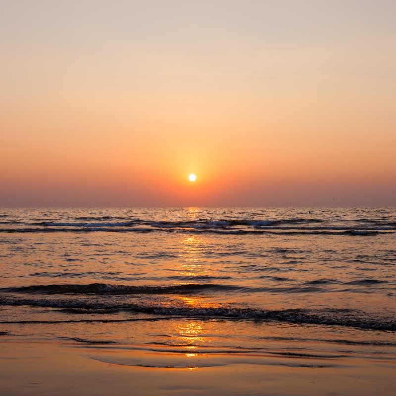 Goa
